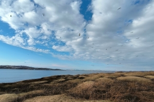 «Кольский полуостров: в краю северных чудес»