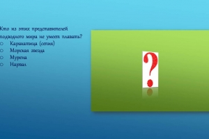 Слайды викторины