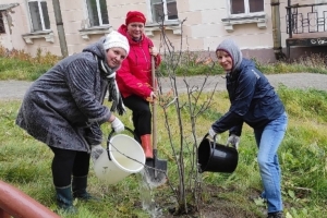 Сотрудники библиотечной системы на экологическом субботнике