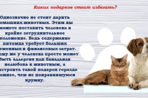Презентация «Как правильно дарить и принимать подарки: советы по этикету и юридические нюансы»
