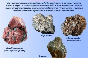 Виртуальная экспедиция «Край, где смыкаются небо с землей. Национальный парк «Хибины»»