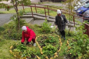 Сотрудники библиотечной системы на экологическом субботнике