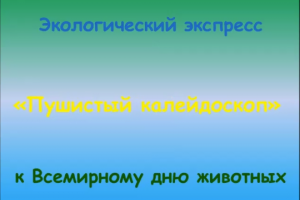 Экологический экспресс «Пушистый калейдоскоп»