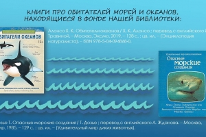 Слайды викторины