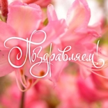 Наши победы!