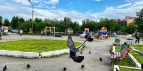 В рамках «Инициативного бюджетирования» на реализацию проекта по обновлению сквера на ул.Советской стартует сбор средств.