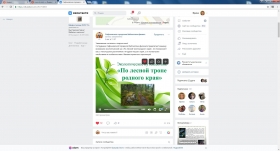 Экологическое путешествие «По лесной тропе родного края»