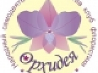 Выставка «Единство непохожих элементов»