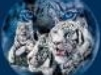 День защиты животных в Североморском выставочном зале