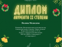 НОВОГОДНИЙ МАРАФОН