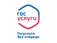 Массовые социально значимые услуги