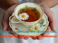 Час общения «Пусть не остынет в кружке чай, а в сердце доброта и понимание» (к Международному дню инвалида)