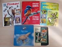 Экологическая викторина «Кто летает и поет, с нами рядышком живет»