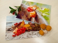 Вечер – диалог «Целительная сила растений Севера»