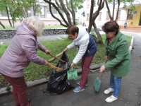 Североморские библиотеки присоединились к экологическому субботнику