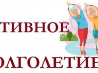 Подведение итогов Второго Всероссийского отбора лучших практик Активного долголетия